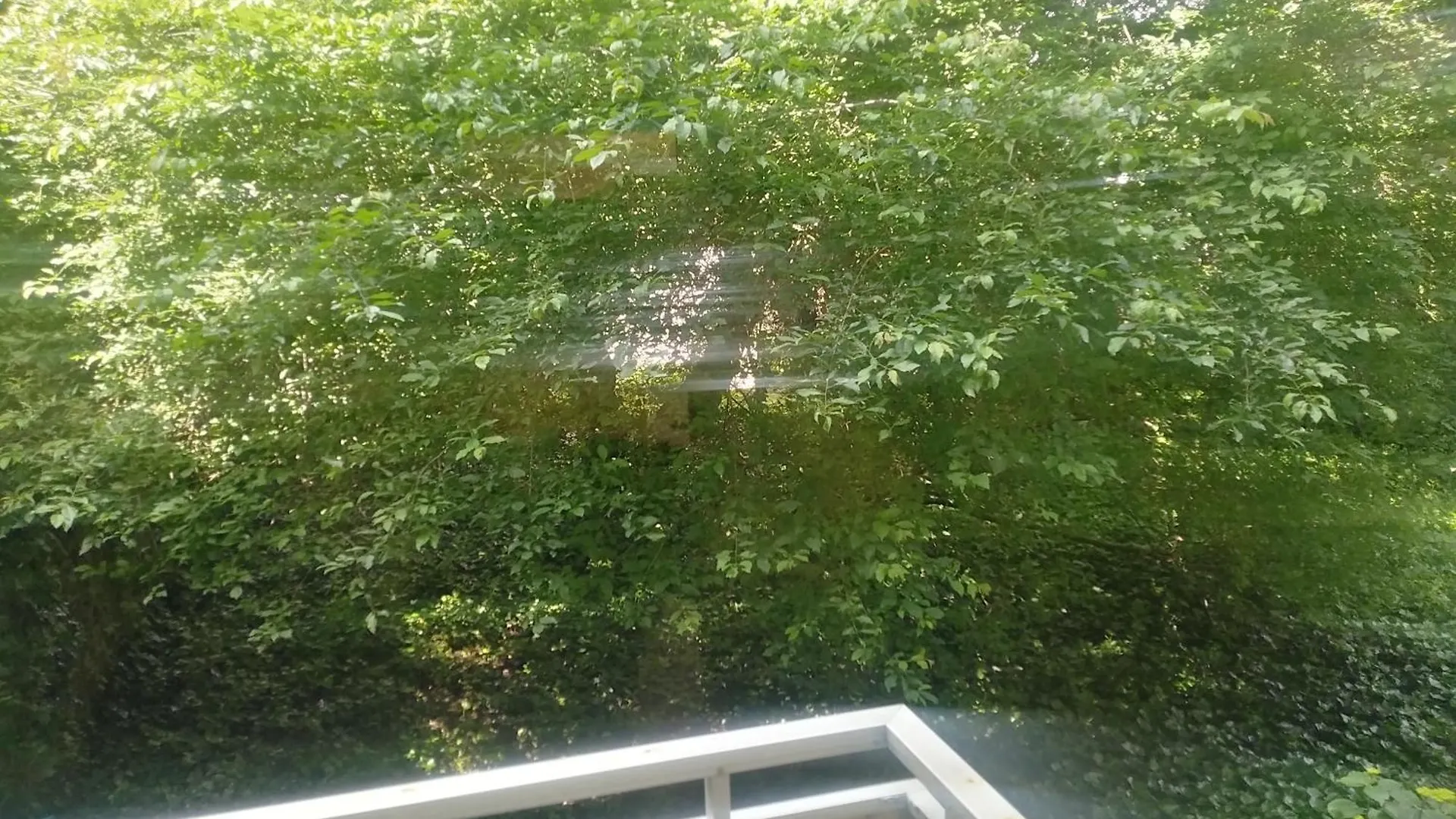 Top Apartment 200 Meter Zum Rheinauhafen Cologne Homestay