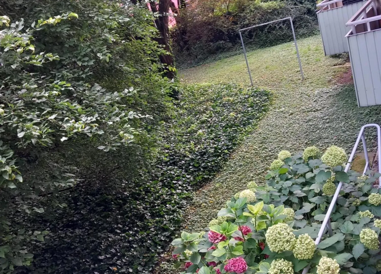 Homestay Top Apartment 200 Meter Zum Rheinauhafen Cologne
